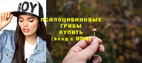 сатива Нязепетровск