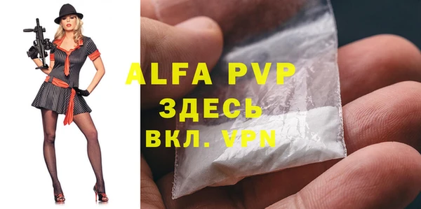 Альфа ПВП Няндома