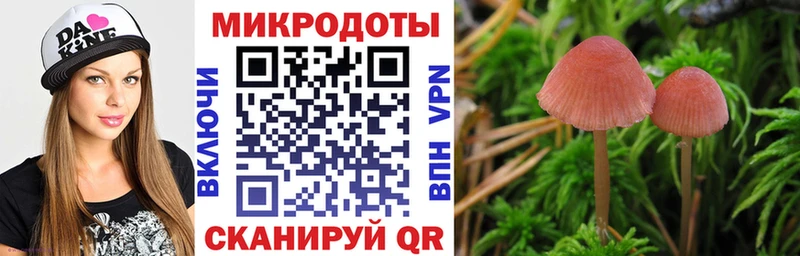 Купить закладки Инта Псилоцибиновые грибы Psilocybe